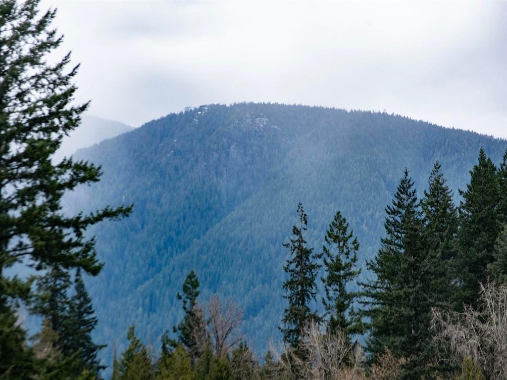 Listing Image for R3105269