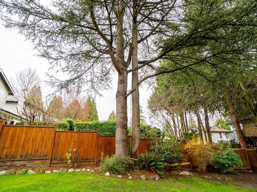 Listing Image for R3105801