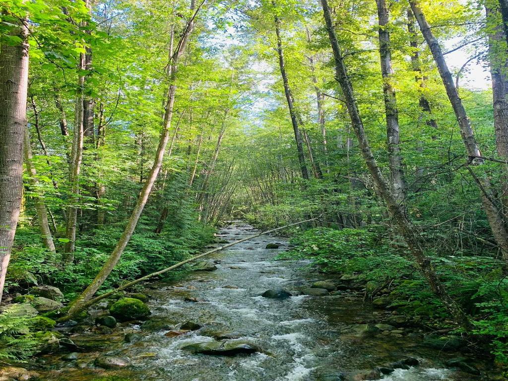 Listing Image for R3105841