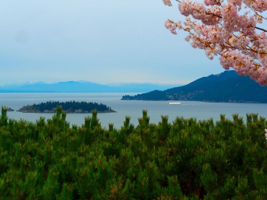 Listing Image for R3106083