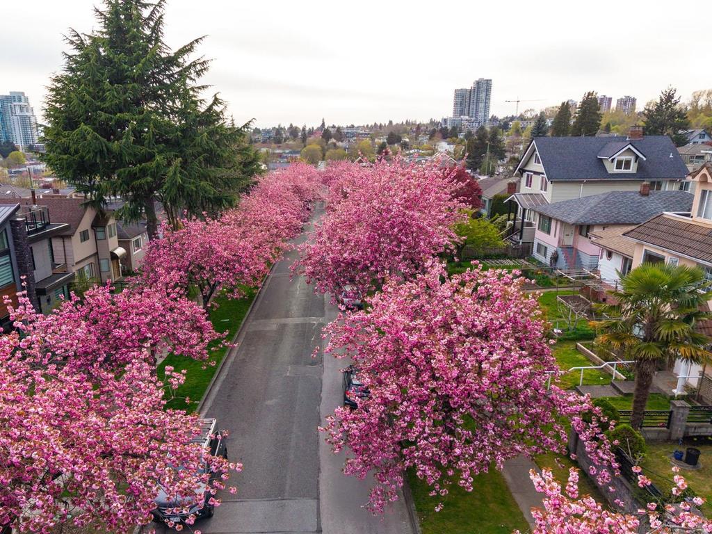 Listing Image for R3106159