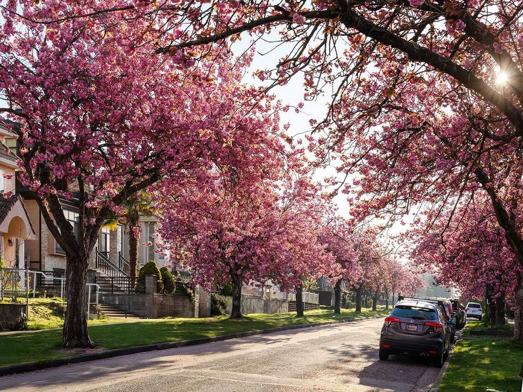 Listing Image for R3106159