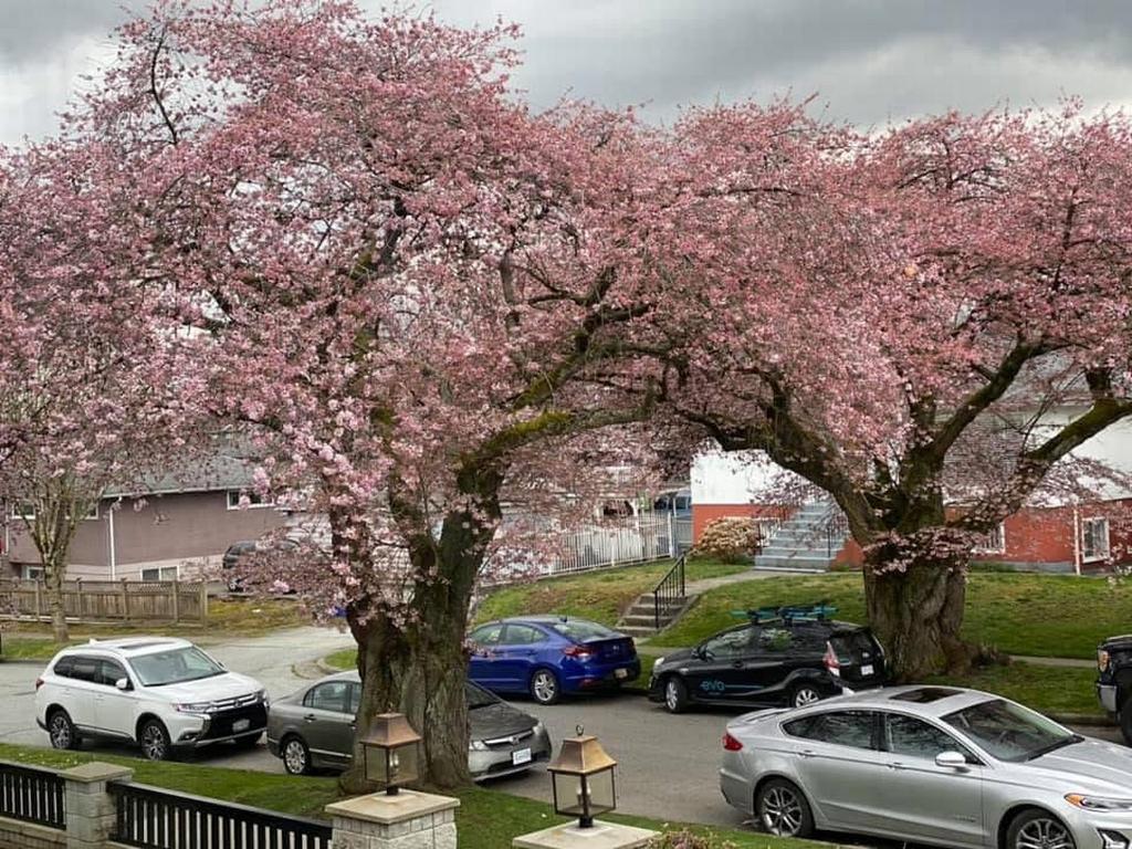 Listing Image for R3106198