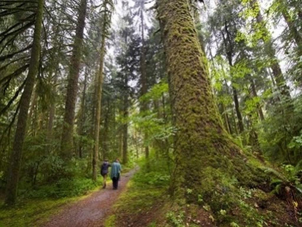 Listing Image for R3106373