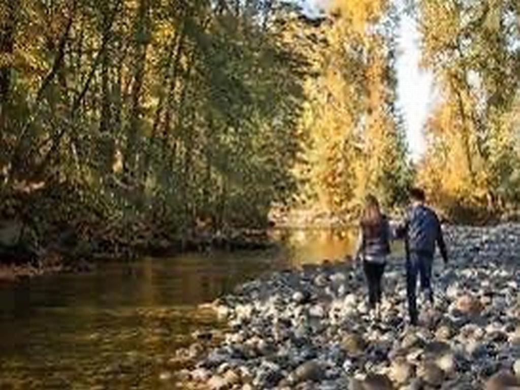 Listing Image for R3106373