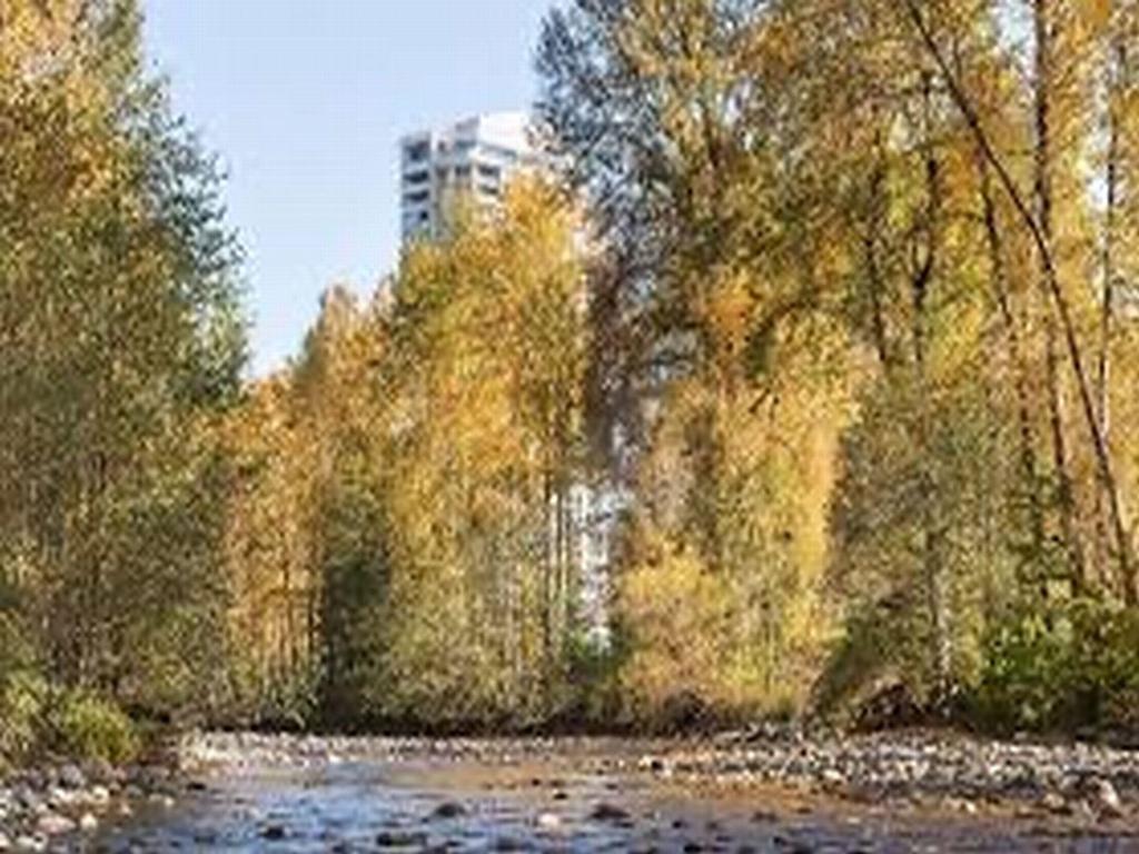 Listing Image for R3106373