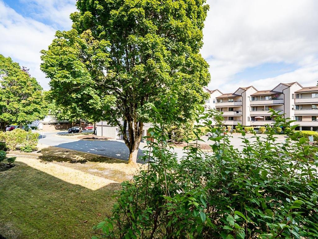 Listing Image for R3106486