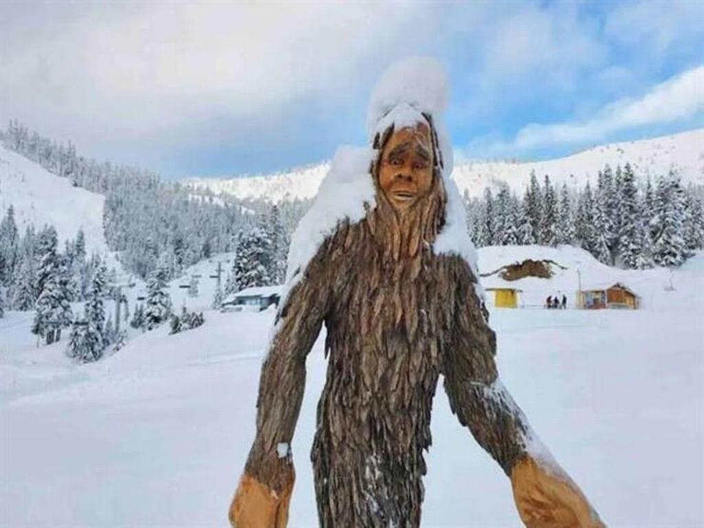 Listing Image for R3106546