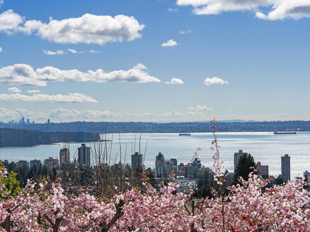 Listing Image for R3106674