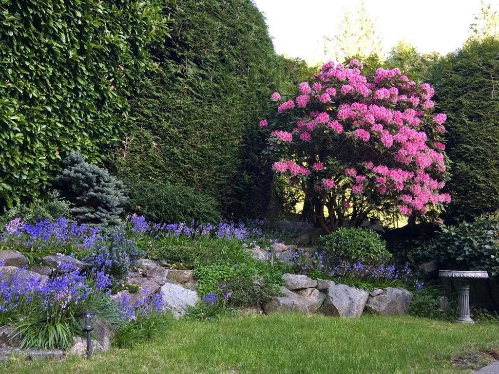 Listing Image for R3106716