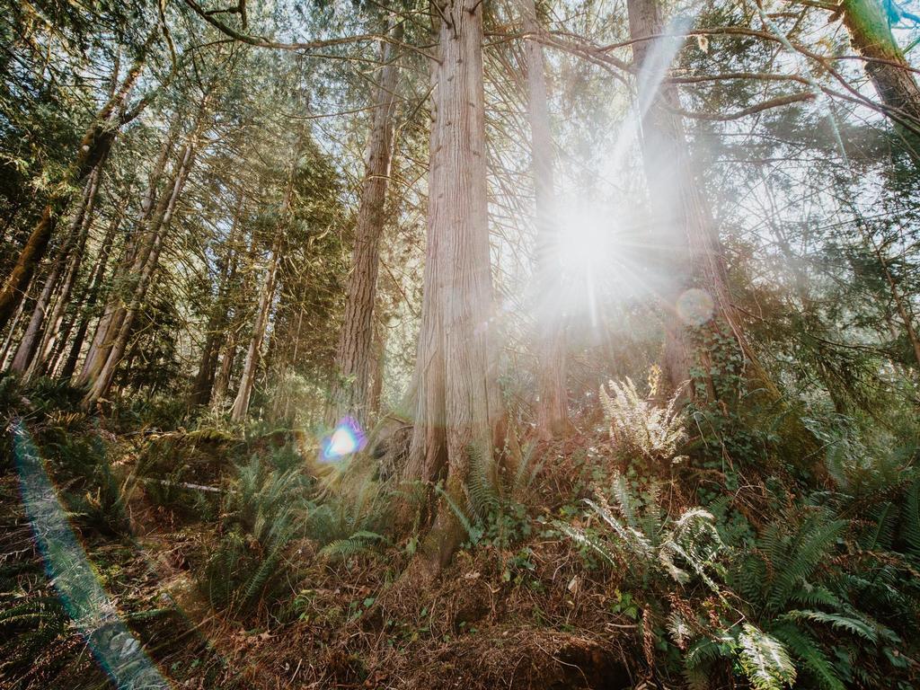 Listing Image for R3106763