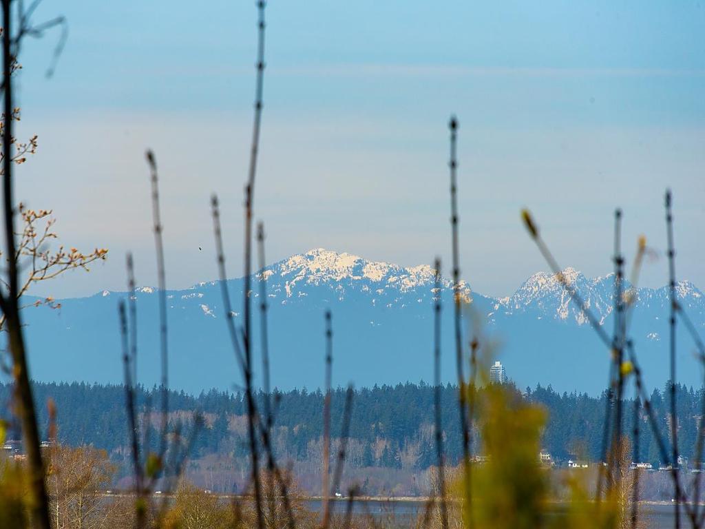 Listing Image for R3106772