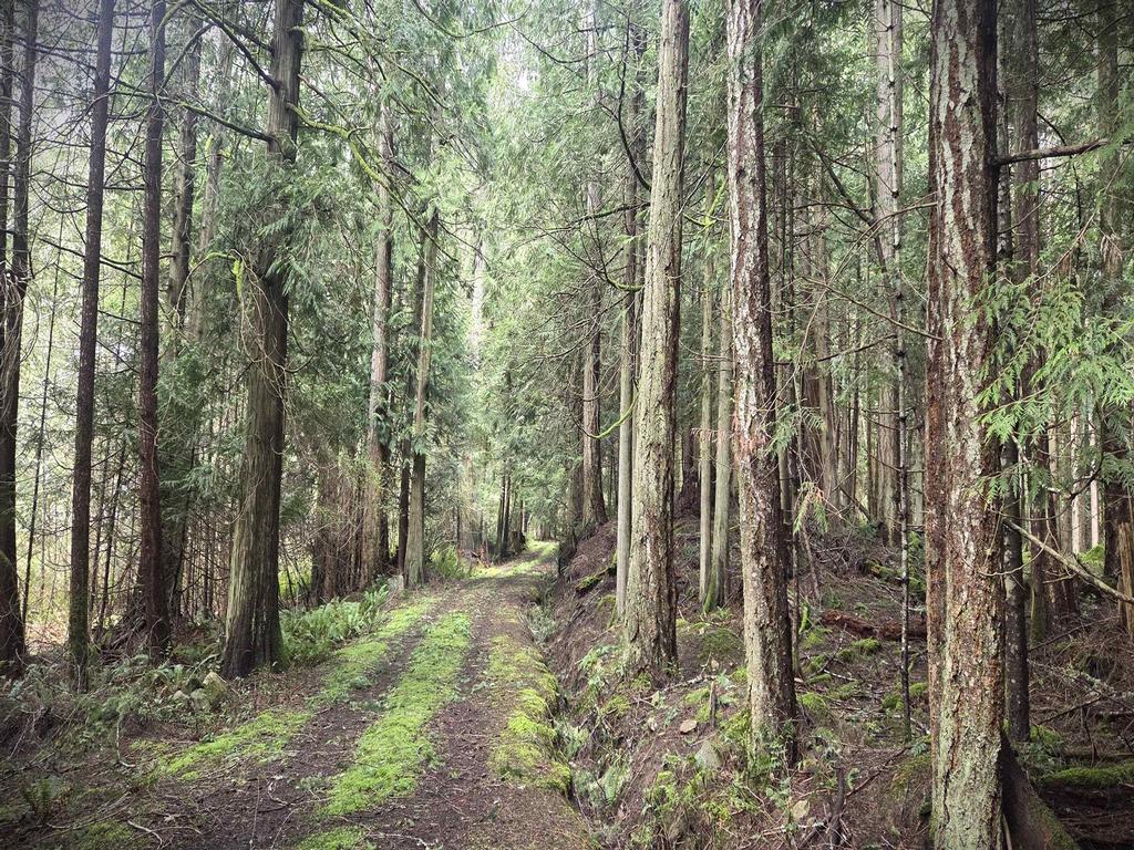 Listing Image for R3106832