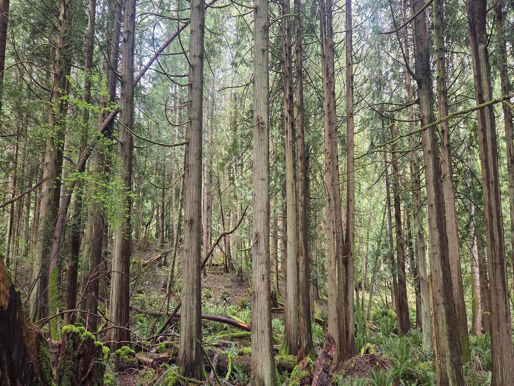 Listing Image for R3106832