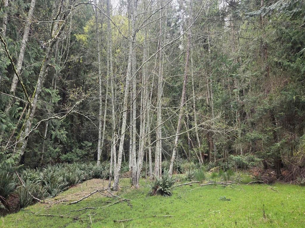 Listing Image for R3106832