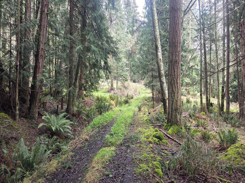 Listing Image for R3106832