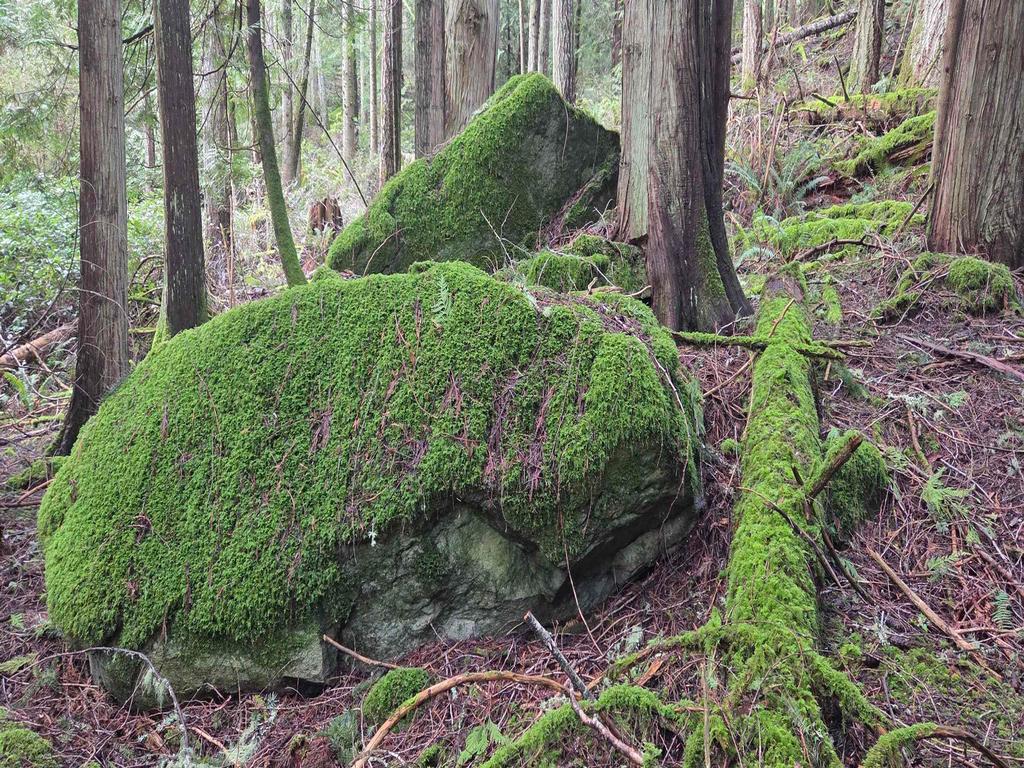 Listing Image for R3106832