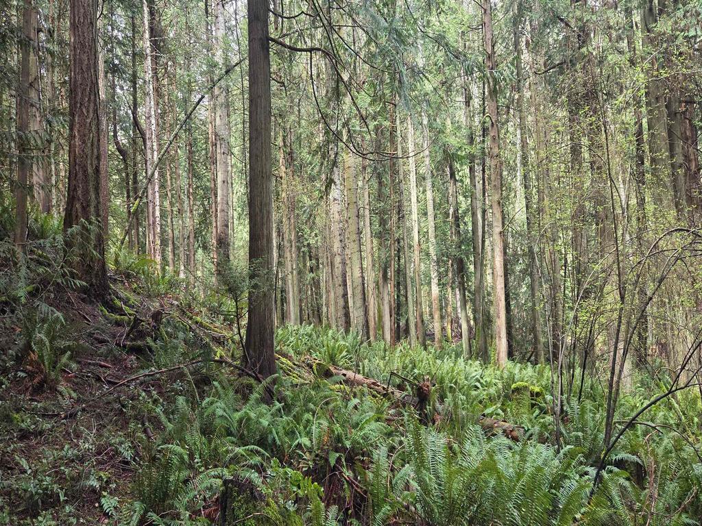 Listing Image for R3106832