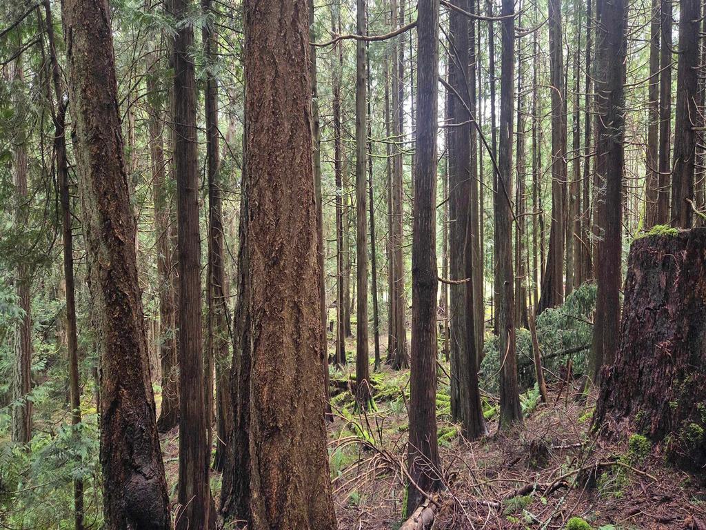 Listing Image for R3106832