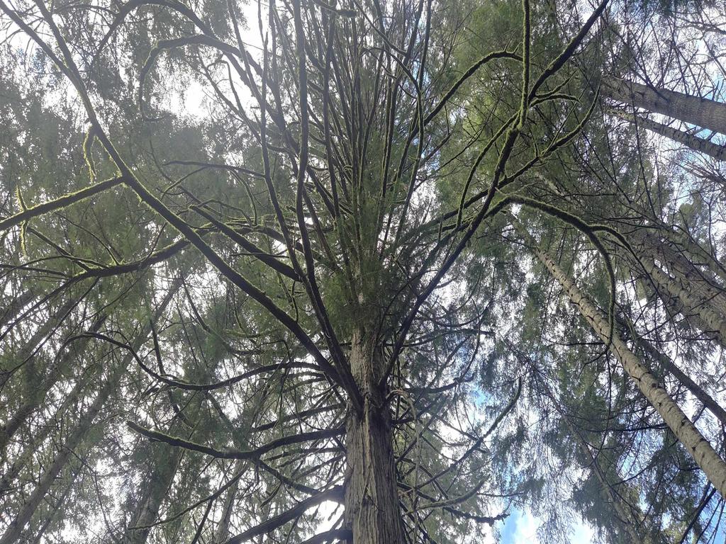 Listing Image for R3106832