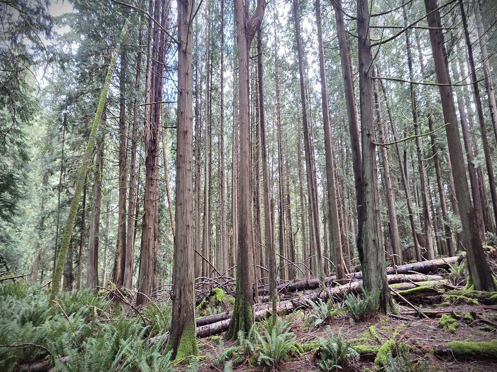 Listing Image for R3106832