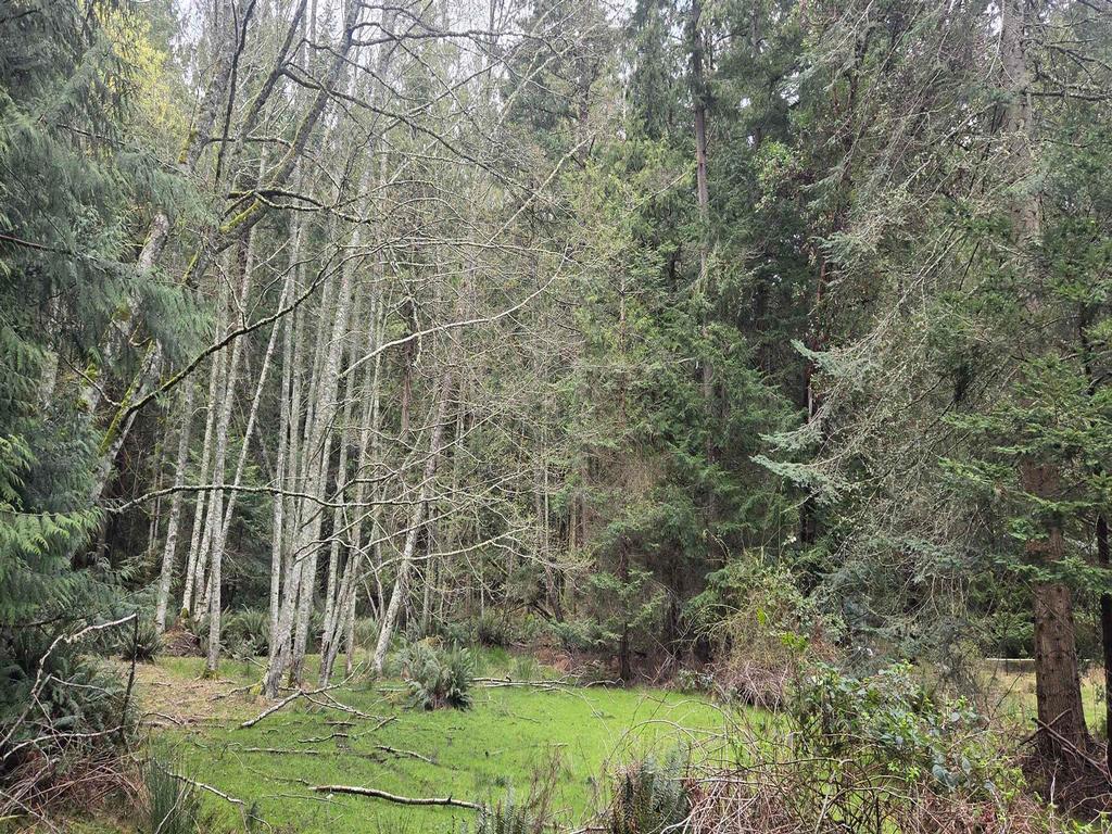 Listing Image for R3106832