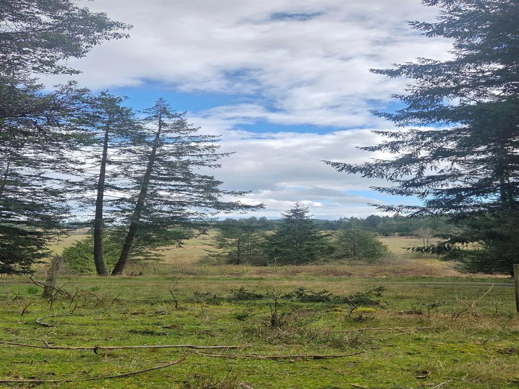 Listing Image for R3106832