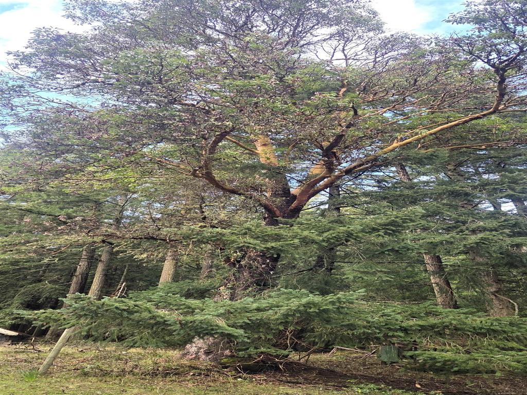 Listing Image for R3106832