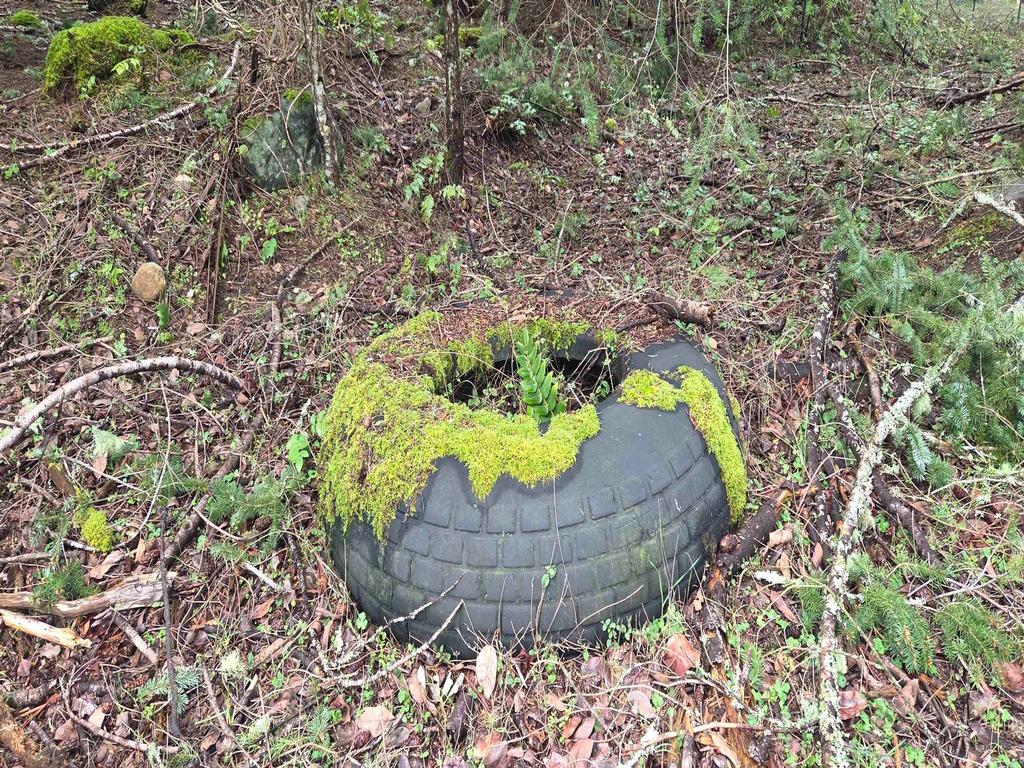 Listing Image for R3106832