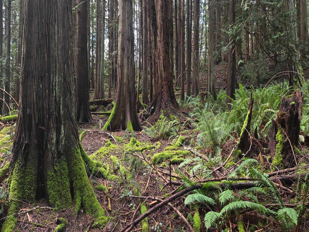 Listing Image for R3106832