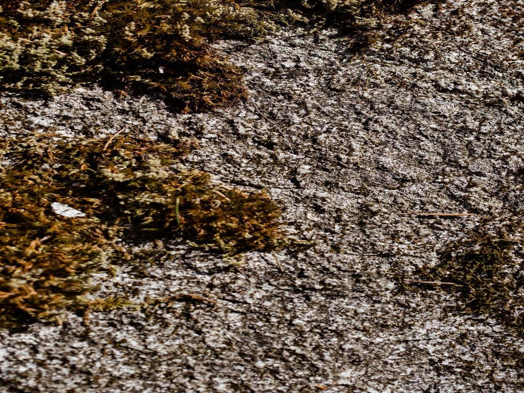 Listing Image for R3106916