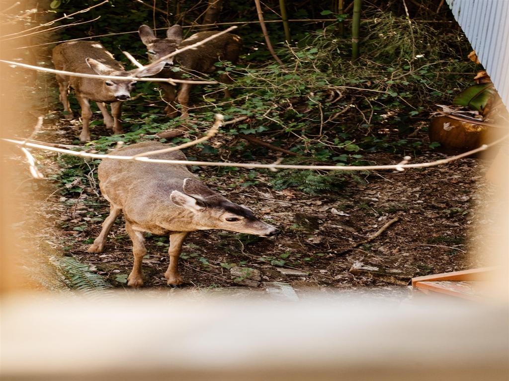 Listing Image for R3106916