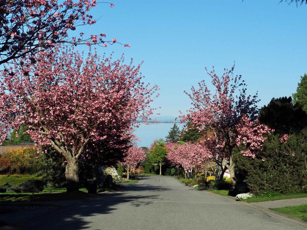 Listing Image for R3106998