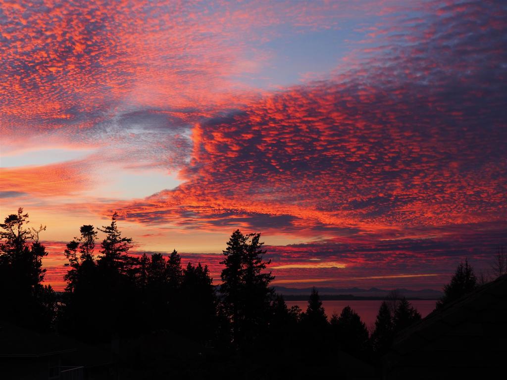 Listing Image for R3106998