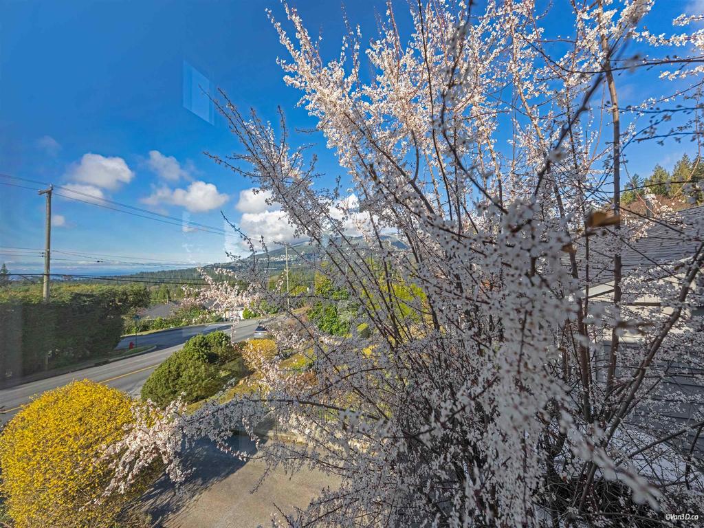 Listing Image for R3107427