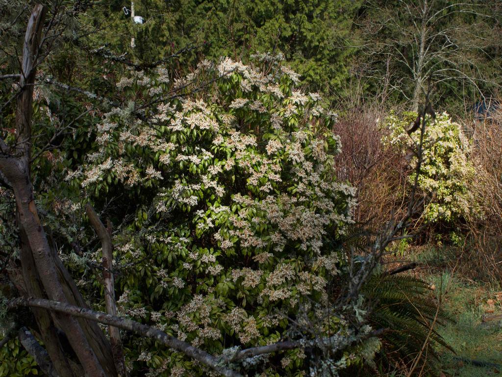 Listing Image for R3107589