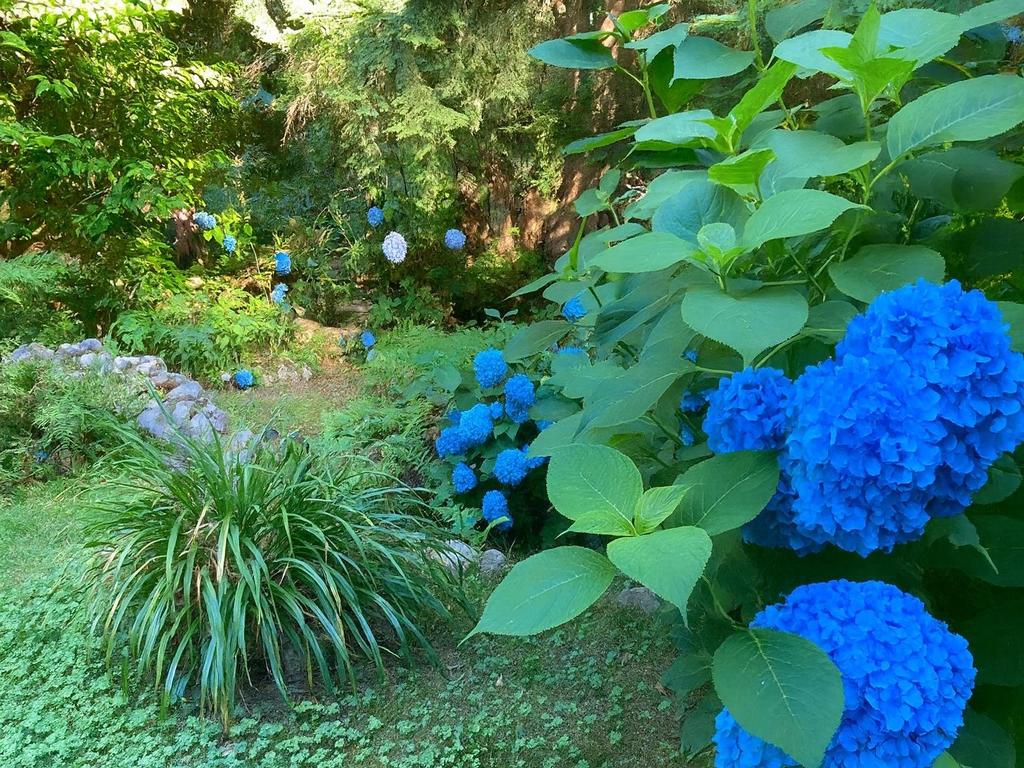 Listing Image for R3107589