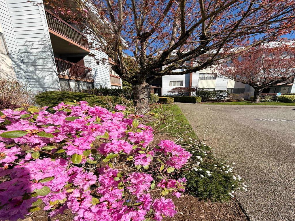 Listing Image for R3108164