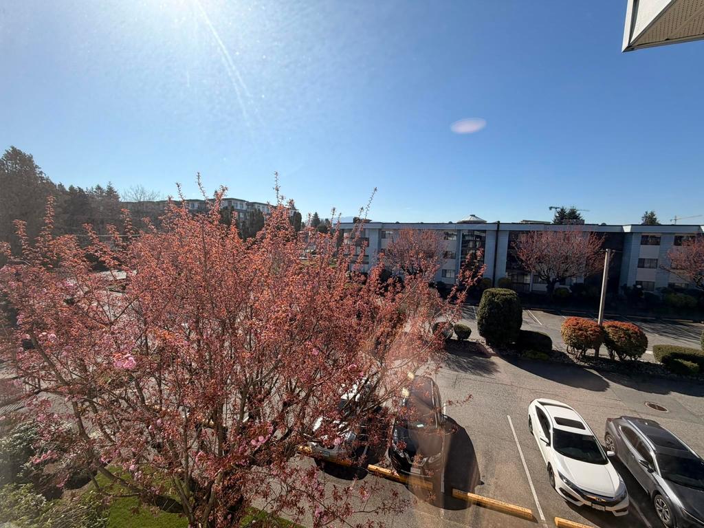 Listing Image for R3108164