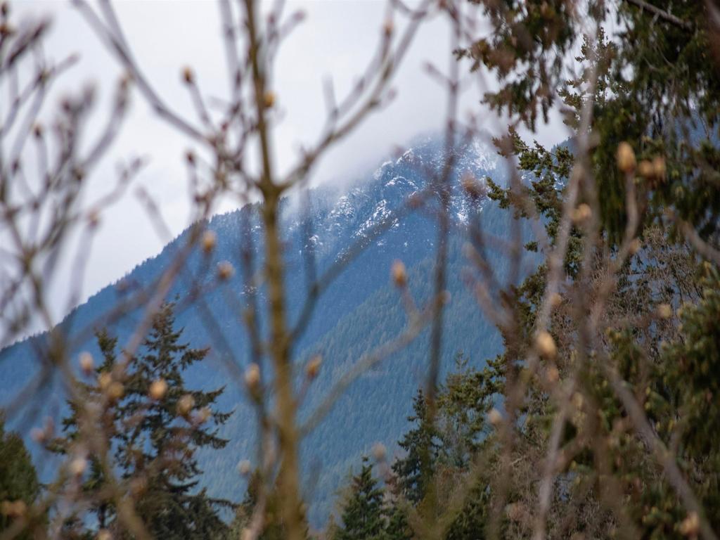 Listing Image for R3108365