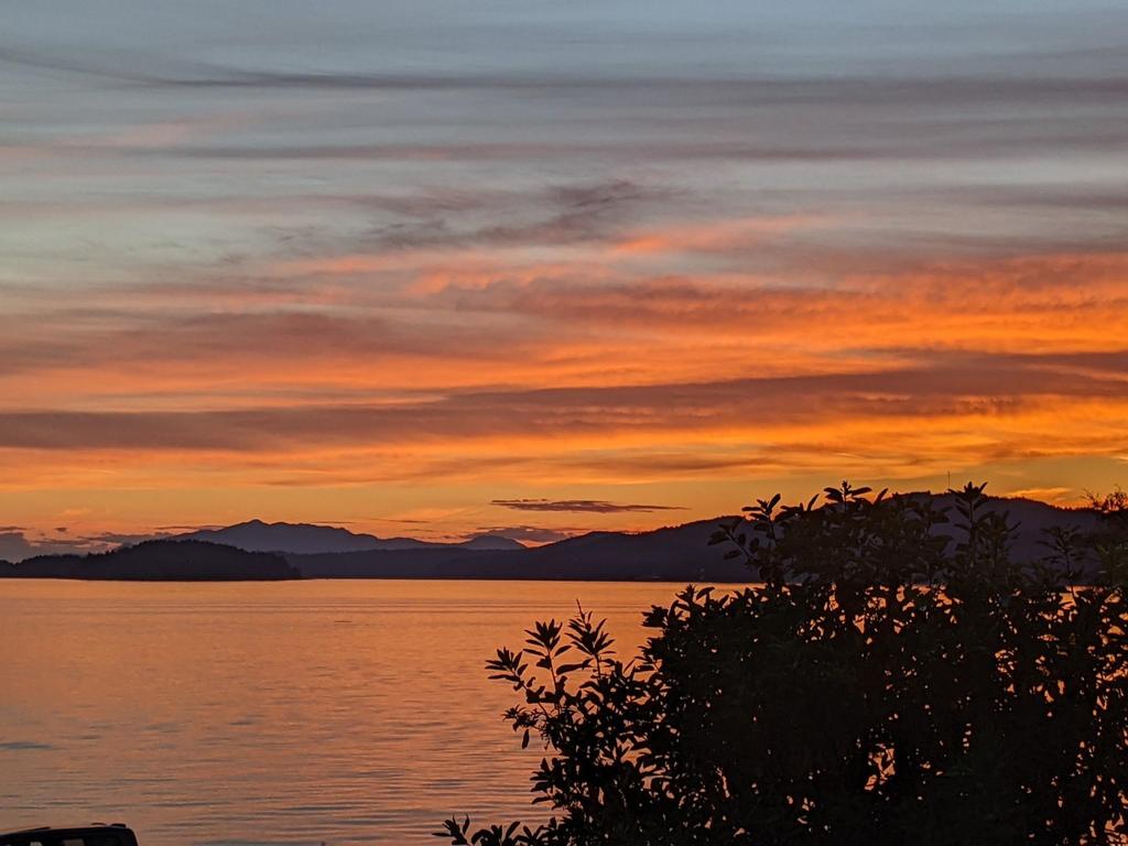 Listing Image for R3108815