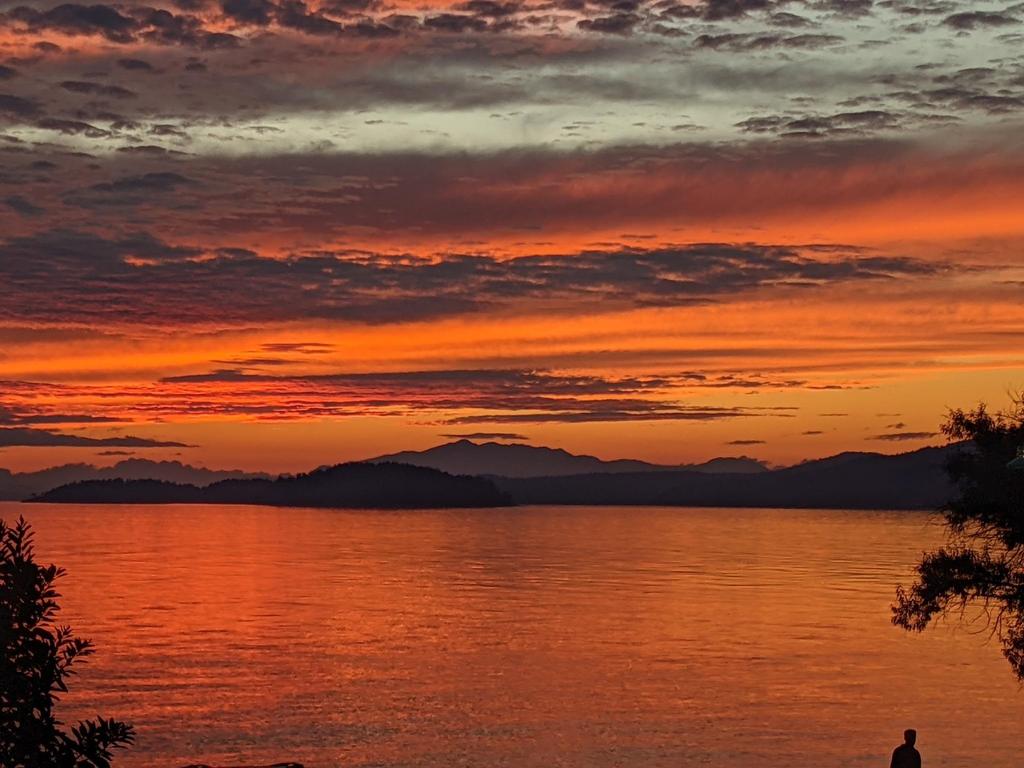 Listing Image for R3108815