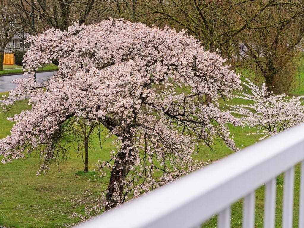 Listing Image for R3108991