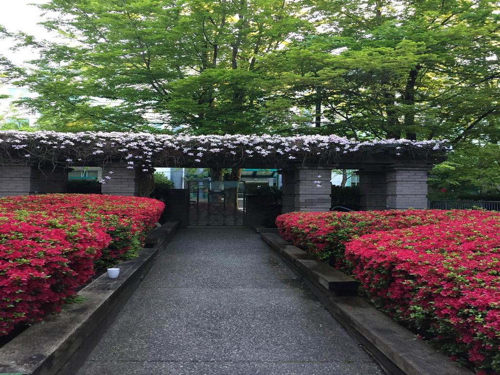 Listing Image for R3109040