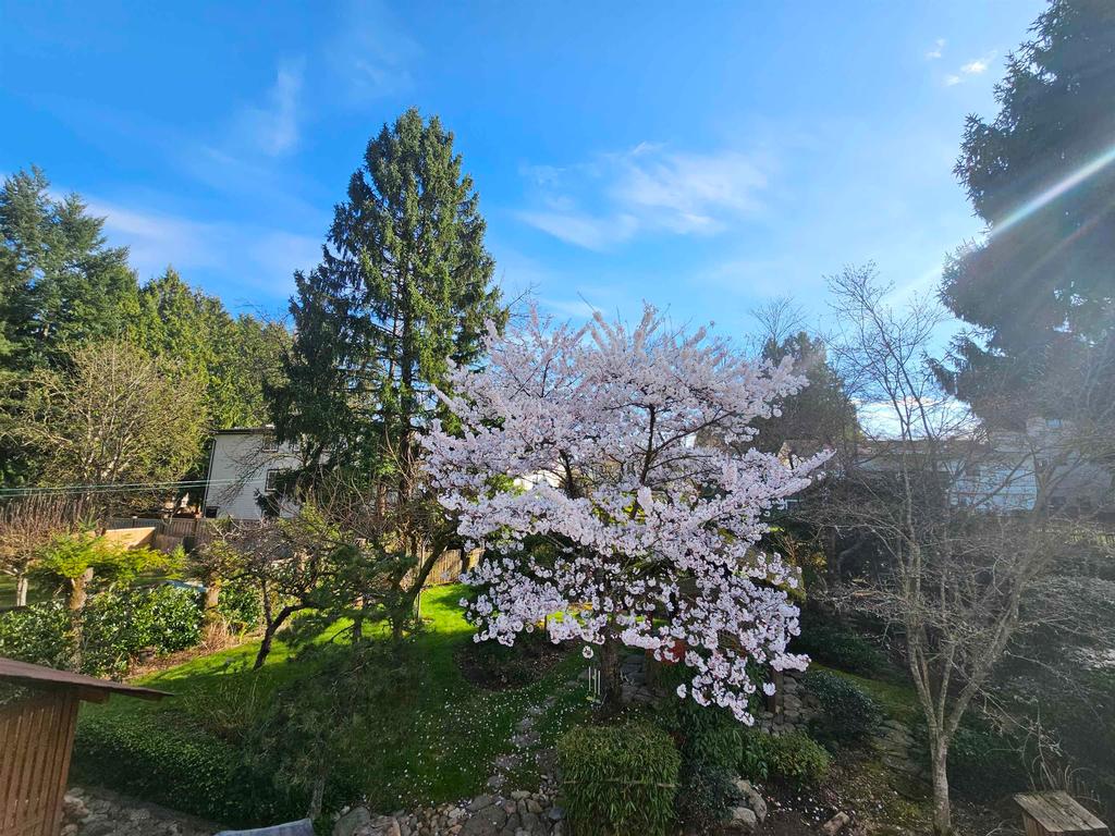 Listing Image for R3109141