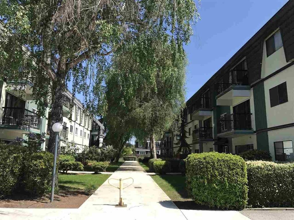 Listing Image for R3109238