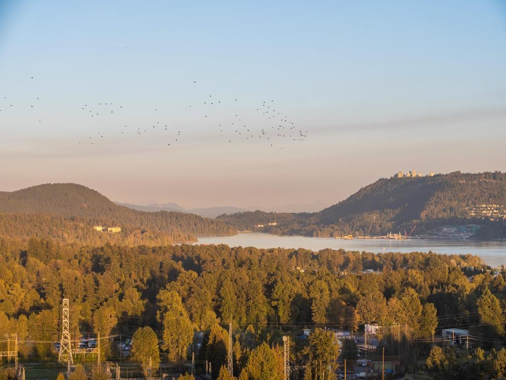 Listing Image for R3109382