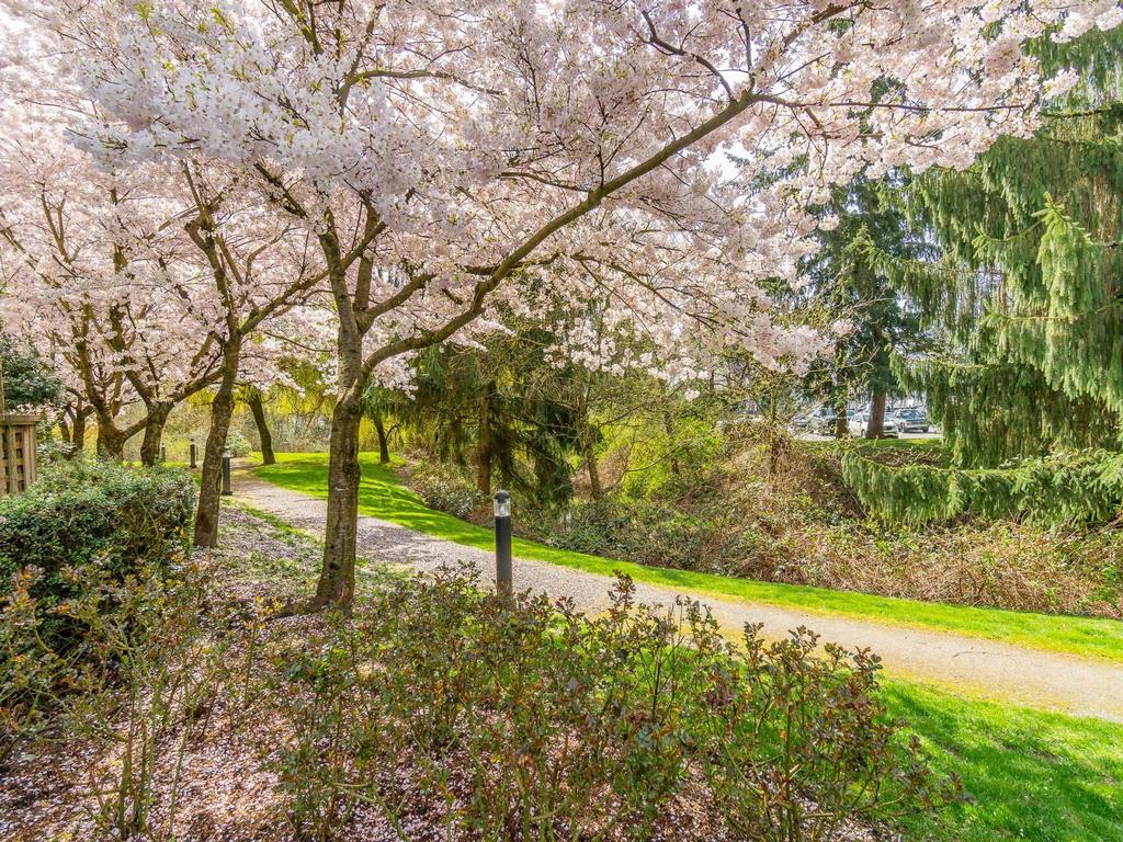 Listing Image for R3109692