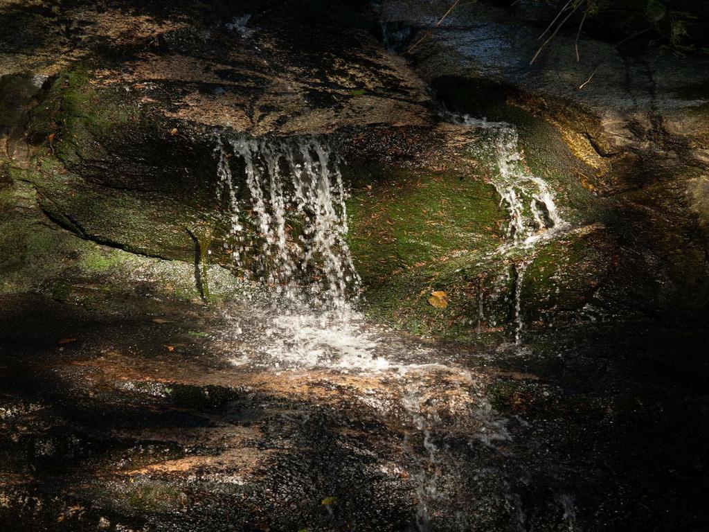 Listing Image for R3109856