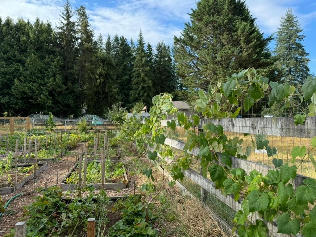 Listing Image for R3109896